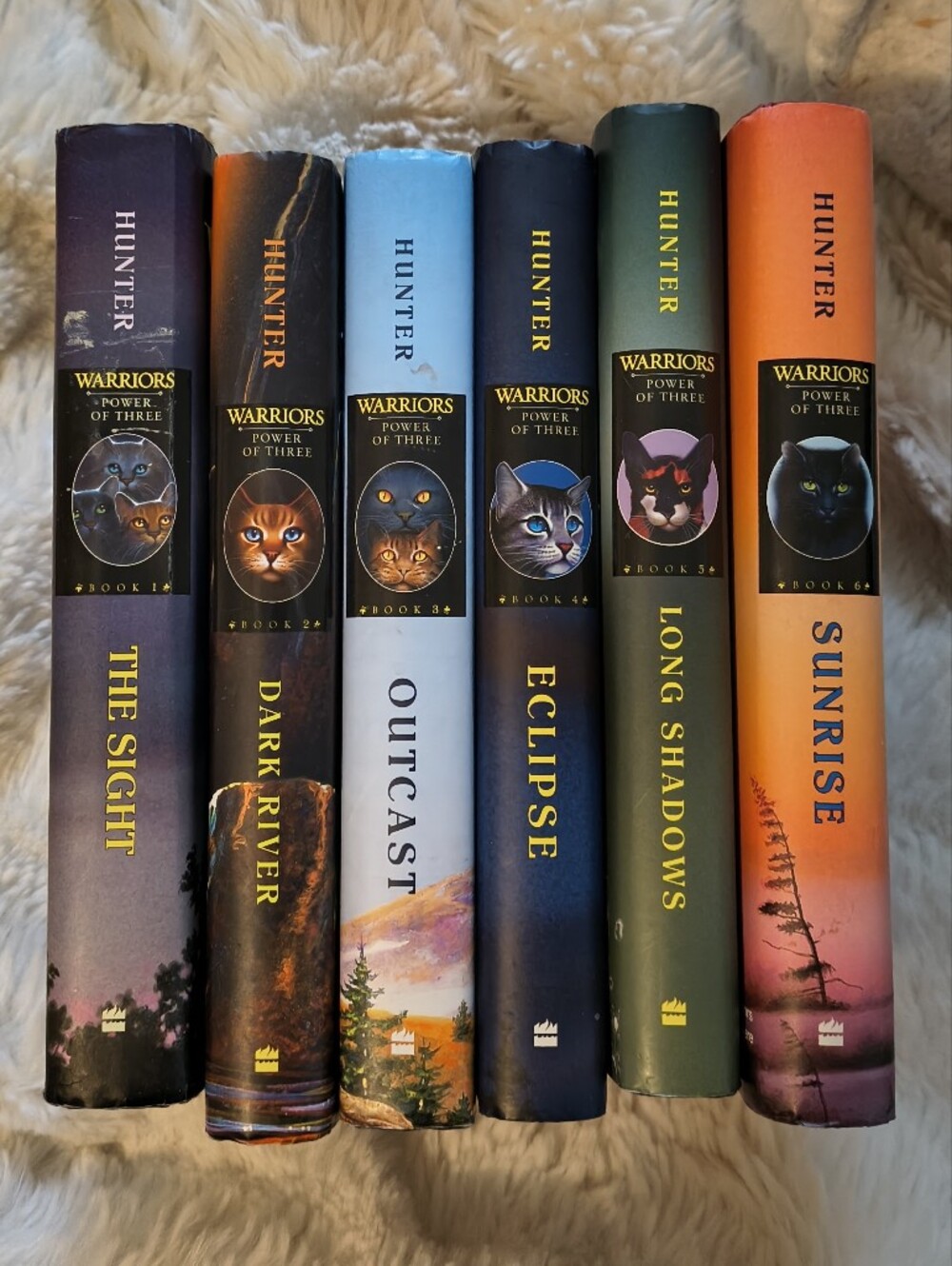 Warriors Power Of Three Hardcover Book Set by Hunter